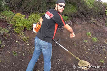 I'm a landscape gardener – how to remove weeds from your flowerbed WITHOUT pulling or using any che... - The Irish Sun