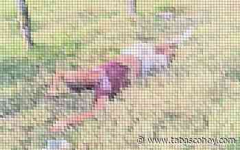 Se enfrentan migrantes y delincuentes en Macuspana; hay 2 muertos - Tabasco HOY