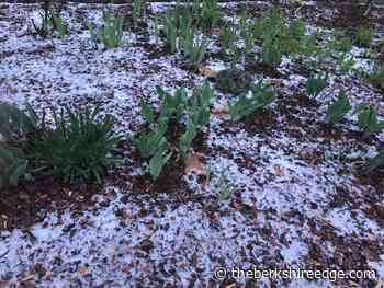 GARDENER'S CHECKLIST: Week of April 21, 2022 - theberkshireedge.com