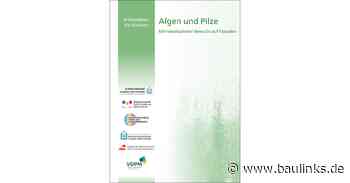 Kundeninformation „Algen und Pilze“ vom VDPM