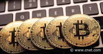 Over 30 Million US Adults Will Own Cryptocurrency by Year's End, Forecast Predicts     - CNET