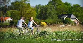 Schüler aus Parsberg organisieren Radmarathon für den guten Zweck - Radio Charivari