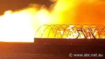 Energy watchdog to investigate regional power network in WA after Wickepin bushfire