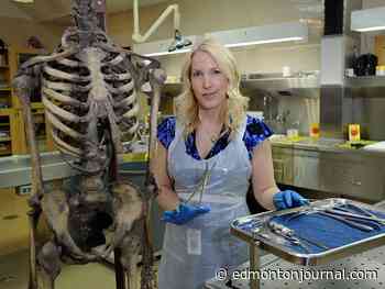 Cross-examination continues in Sauvageau wrongful dismissal trial - Edmonton Journal