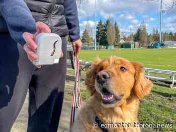 Ventrify rides high on client's crowdfunding success - Taproot Edmonton