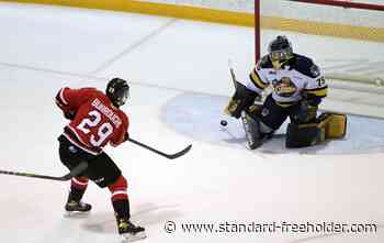 Junior Hockey Briefs: Lalonde gets goaltending call; Ludwinski top rookie - Standard Freeholder