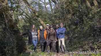A Siena per la prima volta un BioBlitz Nel bosco di Busseto per foto scientifiche - LA NAZIONE