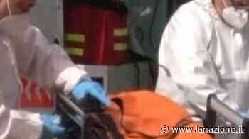 Si ferisce al volto con la motosega Cinquantenne trasportato a Siena - LA NAZIONE