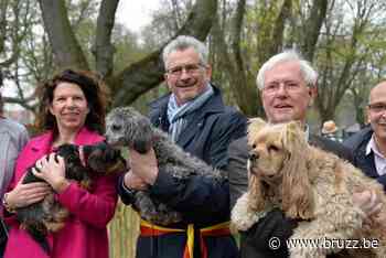 Schaarbeek beloond met gouden label 'Diervriendelijke Gemeente' - BRUZZ
