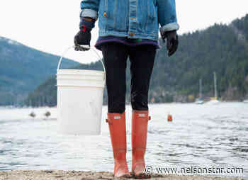Kootenay Lake volunteer shoreline cleanup April 22 and 24 - Nelson Star
