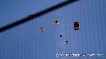 Parachute demo at Nats Park causes brief Capitol evacuation - Lethbridge News Now