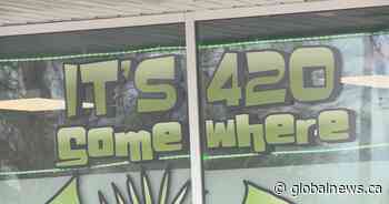 A look at Lethbridge’s legal cannabis market on 4/20 - Global News