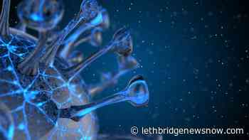 COVID deaths and hospitalizations rise in Alberta over the last week - Lethbridge News Now