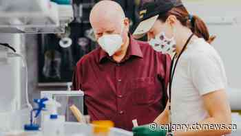 University of Lethbridge researching possible Parkinson's disease treatments - CTV News Calgary