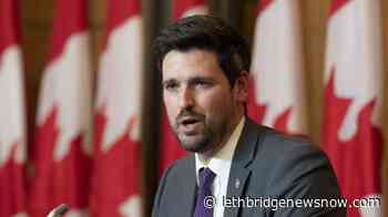 Canada launches Aeroplan fund to bring Ukrainians to Canada - Lethbridge News Now