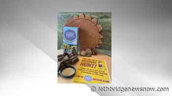 Child-friendly map of Lethbridge offers plenty of opportunities to explore and have fun - Lethbridge News Now