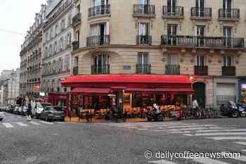 Chains Lead Regrowth in Europe's Coffee Retail Market, According to World Coffee Portal - Daily Coffee News