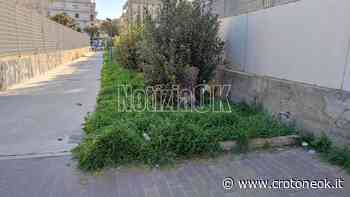 Crotone, una città "sempre verde" - CrotoneOK.it