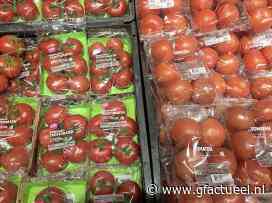 Supers halen tomaten nog overal vandaan - GFactueel.nl - Groenten en Fruit Actueel