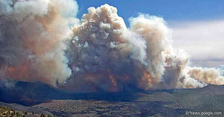 Arizona Wildfires Seize on Chaotic Winds and Parched Forests - The New York Times