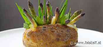 Neues Kochbuch: Meer Aromen und Wildes Gemüse