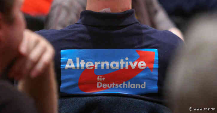 Mannheimer Studie:  Übernahme rechter Themen stärkt radikale Parteien