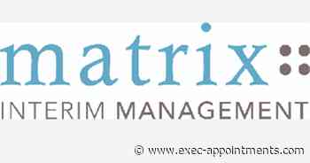 Matrix Interim Management: Interim Chief Revenue Officer