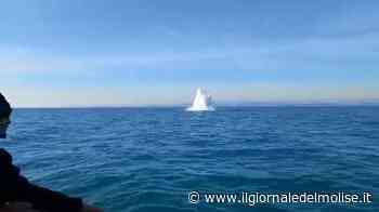 Ordigni nel relitto bellico, nuova operazione di brillamento al largo di Termoli - Il Giornale del Molise