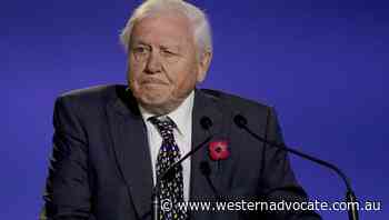 Attenborough named champion of the earth - Western Advocate