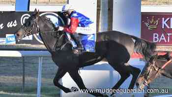 Bumper crowd expected for 2022 Bathurst RSL Club Soldier's Saddle meeting - Mudgee Guardian