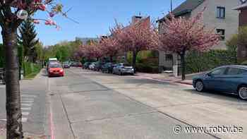 Leuven stelt nieuw Mobiliteitsplan Kessel-Lo voor: nieuwe fietspaden, autoluwe woonstraten en andere rijrichtingen - ROB-tv