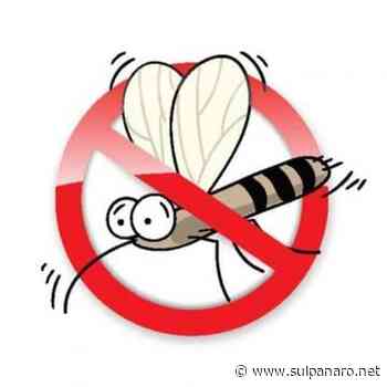 Carpi, riparte la campagna comunale contro la zanzara tigre - SulPanaro
