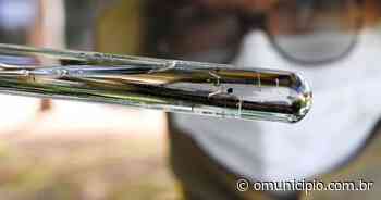 Dengue: saiba quais bairros de Brusque receberão mutirões ao longo do ano - O Município