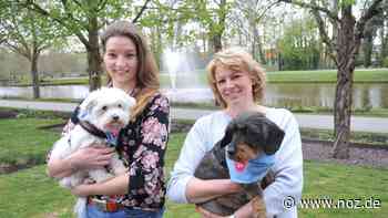 Besuchsdienst mit Hund in Papenburg: Was ihn so wertvoll macht - NOZ