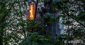 Brandweer heeft handen vol aan brand in holle boom in Tilburg - BD.nl