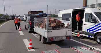 24 overtredingen tijdens controleactie op zwaar verkeer | Boom | hln.be - Het Laatste Nieuws