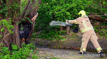 Brandweer blust brandende boom in Poortugaal - Albrandswaardsdagblad