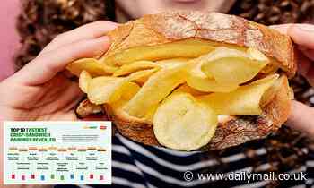 The science behind the perfect CRISP SANDWICH: Chicken Tikka and Ready Salted are best pairing