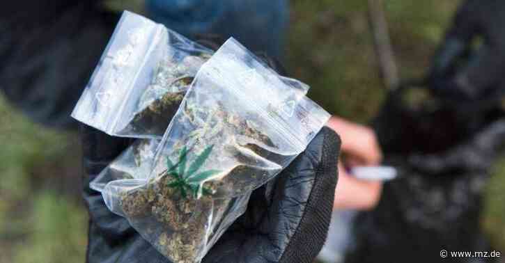 Heidelberg:  Cannabis und ein Führerschein aus Italien oder Tunesien