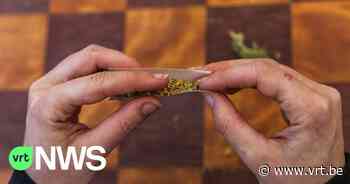 Drugsdealer uit Borgloon verstopte voorraad cannabis en cocaïne in putten in weide - VRT NWS