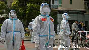 Deutscher Expat in Shanghai: "Dieses System ist lächerlich und eine Schande"