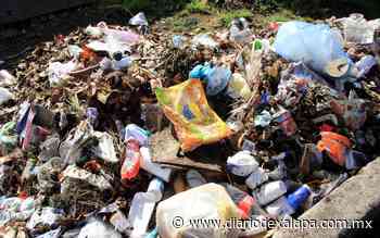 Preocupa a habitantes manejo de basura en Coatepec; ya hay afectaciones - Diario de Xalapa