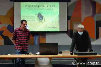 La Maison de Loire se penche sur les insectes des peupliers - Jargeau (45150) - La République du Centre