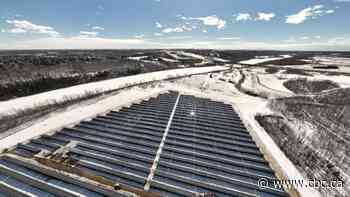 Conservation group ordered to pay $33K for Epcor's legal costs in solar farm dispute