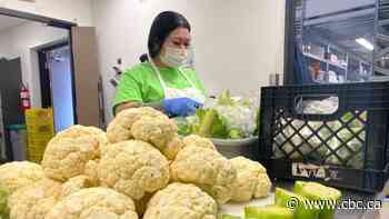 Inflation-driven price hikes could strain Saskatoon meal program: official