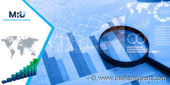 Social Work Case Management Software Market 2022: This report explained the size, share, market value, etc. by 2027 – The New York Irish Emgirant - The New York Irish Emgirant