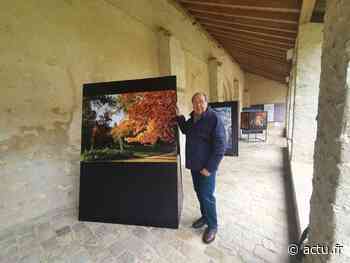 Exposition. A Provins, la cité médiévale se dévoile à travers des photos inédites - La République de Seine-et-Marne