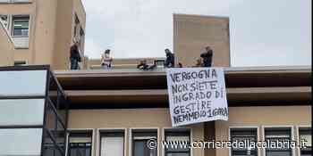 «Vergogna, non siete in grado di gestire una gara». I lavoratori della mensa tornano sul tetto del "Giannettasio" - Corriere della Calabria