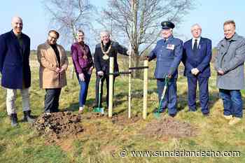 New North East Community Forest set to take shape at a former golf course as part of the Queen's Jubilee celebrations - Sunderland Echo