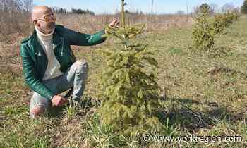 Here's why 220KM Inc. is turning 27 acres of farmland into forest at Willowgrove in Stouffville - yorkregion.com